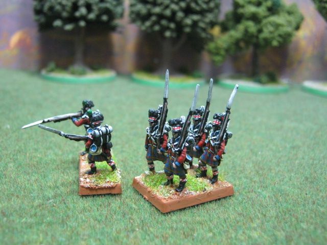 15mm DPS Professional painted Nap British 42nd Royal Highland Infantry 