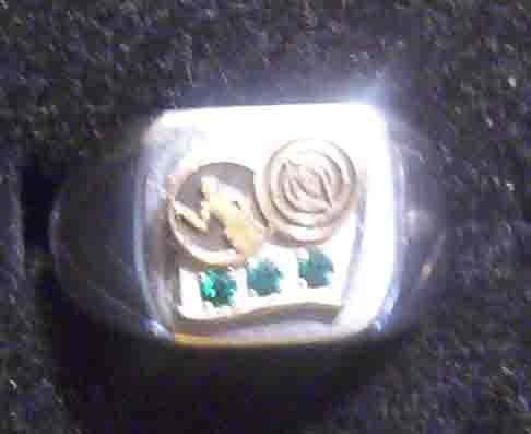 GENERAL MOTORS TERNSTEDT 20 YEAR RING   10K GOLD TOP  