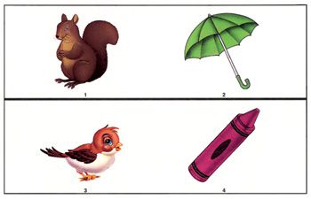 Picture Concepts —measures fluid reasoning, perceptual organization 