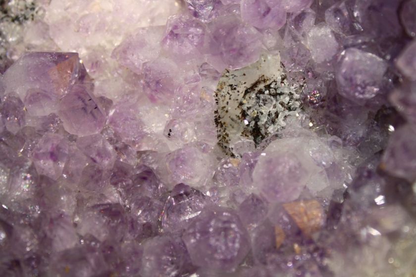 SPECIMENBEAUTY AMETHYST CLUSTER/W BLACK MINERAL AC 563  