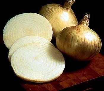 Granex Onion 50 seeds  