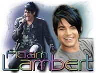 ADAM LAMBERT FAN T SHIRT American Idol ANY SIZE  