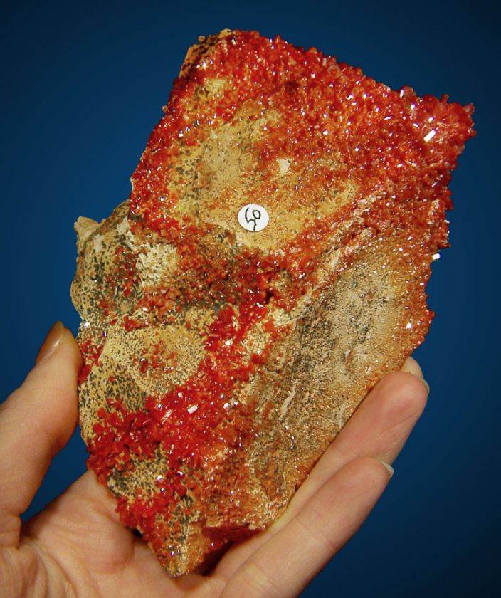 WHOLESALE FLAT VANADANITE Crystals 12@$15 Morocco  