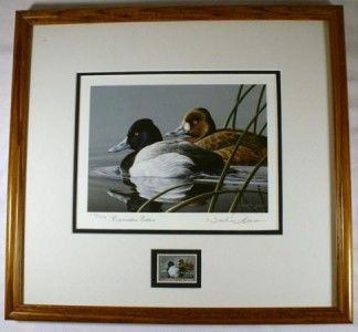 1990 NEAL ANDERSON Lesser Scaup Conservation Edition Stamp Print 