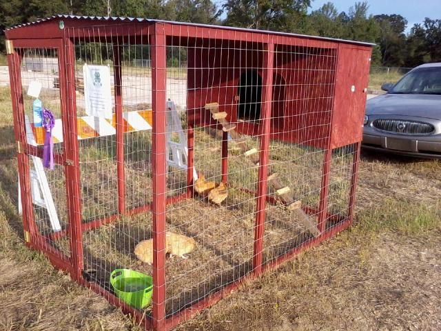 Backyard Coop Plans  for turkey, chicken, duck, hatching eggs 