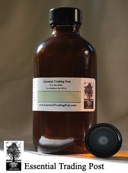 Pumpkin Pie Oil Essential Trading Post Oils 4 fl. oz (120 ML)  