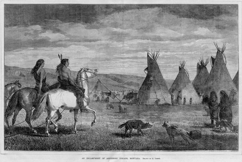 ASSINIBOIN INDIAN ENCAMPMENT, MONTANA, TEEPEE, HORSES  