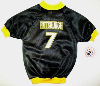 Pittsburgh Steelers #43 Football Dog Sports Jersey L  