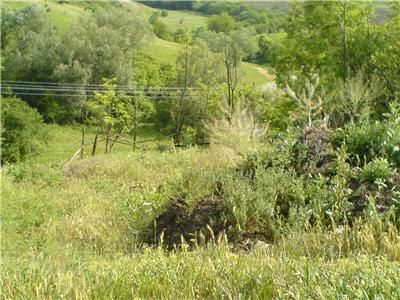 House on 1 plot, Property for sale in Bulgaria with Ltd Company 