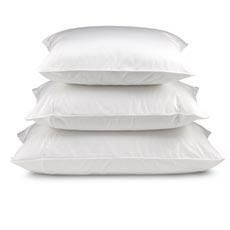 Down Etc. 50/50 White Goose Down/Feather Pillow  