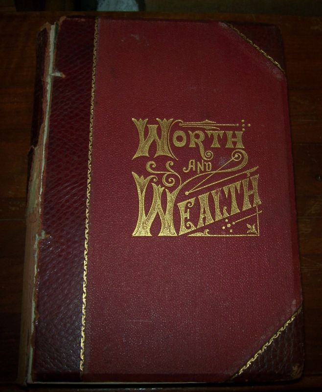 ANTIQUE BOOK ~ WORTH AND WEALTH 1884 ~ T.L. HAINES  