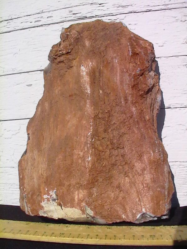 PETRIFIED WOOD LANDSCAPE ROCK DECORATIVE #609   13 LBS  