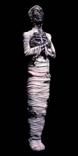 HALLOWEEN PROP LARGE 5 DECAYING MUMMY HAUNTED HOUSE FIGURE  