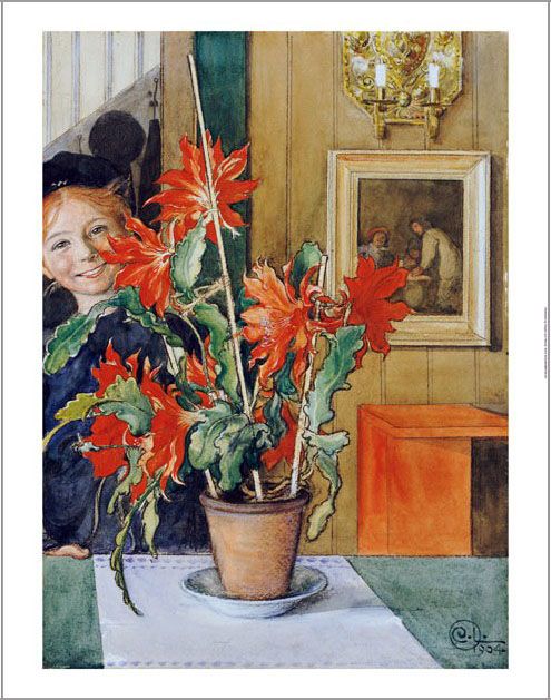 CARL LARSSON Britas Cactus print NEW ON CANVAS  