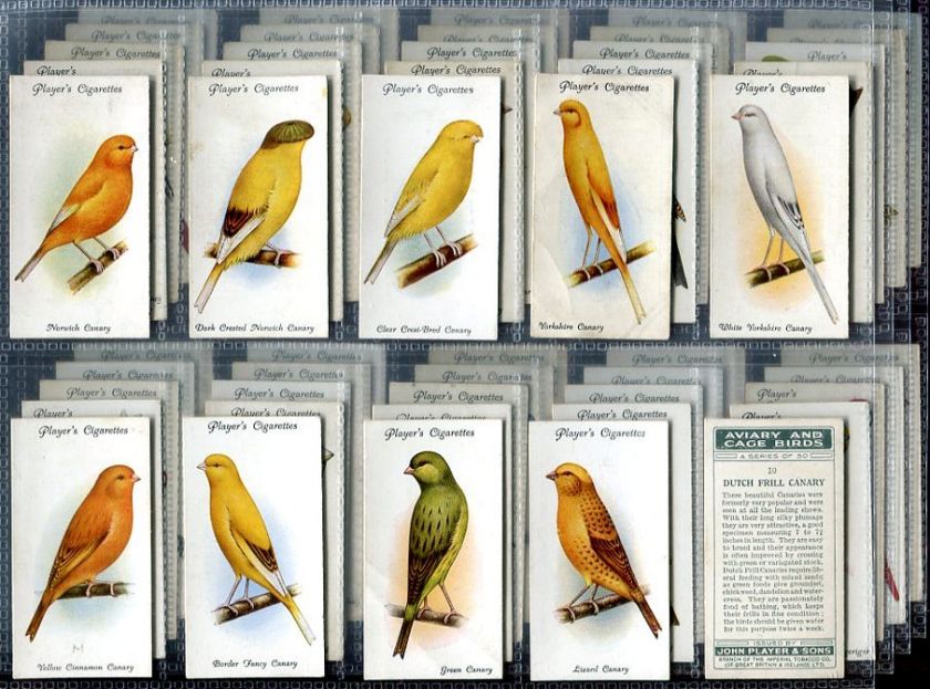   Set, John Player, AVIARY & CAGE BIRD, Parrot, Canary etc, 1933  