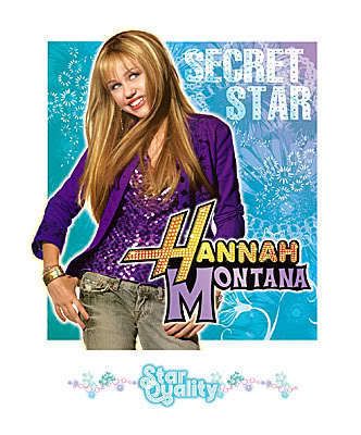 Janlynn HANNAH MONTANA FLORAL Iron On Transfer Kit NEW  