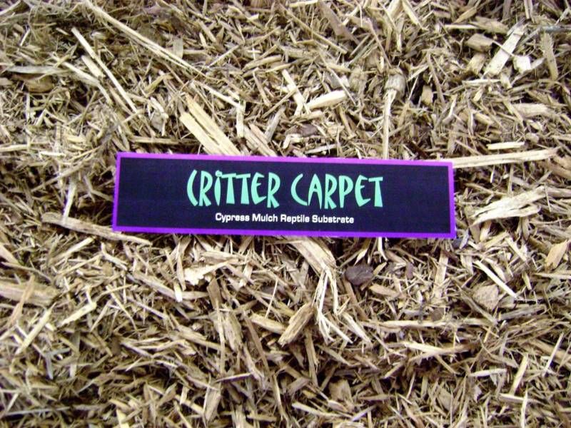 CRITTER CARPET Cypress Reptile Bedding Substrate 16 QT  